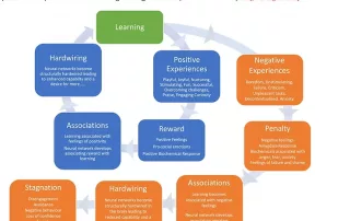 Image of a diagram about playful learning from Ben's upcoming book The Neuroplasticity of Learning