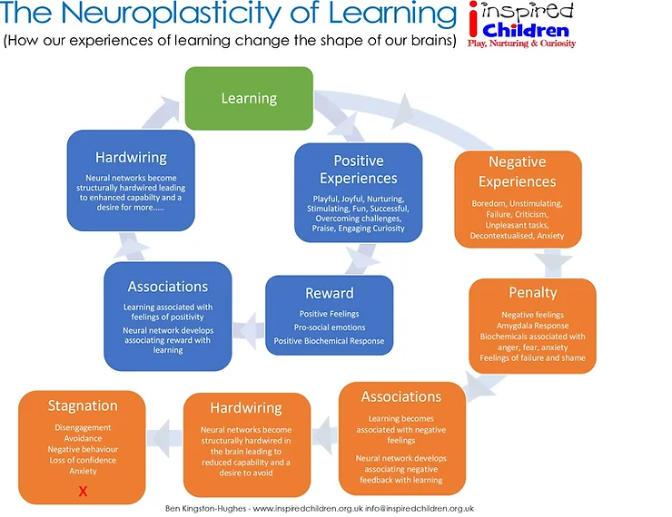 Image of a diagram about playful learning from Ben's upcoming book The Neuroplasticity of Learning